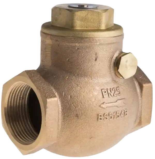 Check Valves